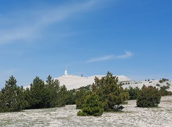 Tocht Stappen Brantes - Ventoux Signal  - Photo