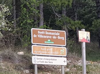 Tour Wandern Villeneuve-de-Berg - la forêt des sens Villeneuve de Berg  - Photo