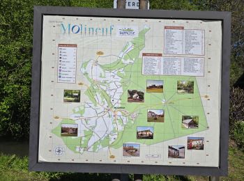 Randonnée Marche Valencisse - Valencisse-Molineuf - Circuit de Coquine - Photo