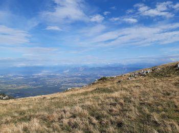 Excursión Senderismo Chézery-Forens - Menthieres-Cret de la goutte - Photo