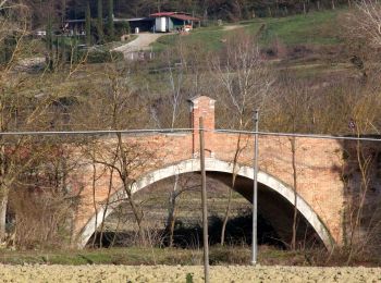 Trail On foot Asciano - IT-4 - Photo