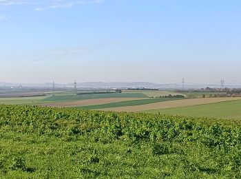 Tocht Stappen Laubressel - Laubressel - Photo