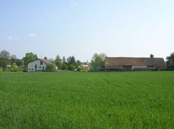 Percorso A piedi Novosedly nad Nežárkou - [Z] Stará Hlína - Pomník E. Destinnové - Photo