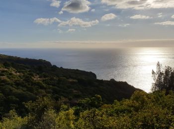 Tour Wandern Saint-Denis - Boucle Moulin Kader - Photo