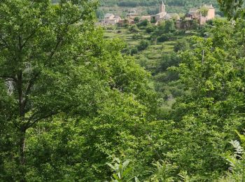 Randonnée Vélo de route Saint-Rome-de-Tarn - castelnau Pegairolles - Photo