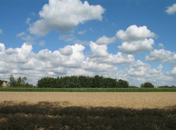 Tour Zu Fuß Beernem - Oedelemberg - Photo