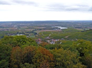 Tour Zu Fuß Löwenstein - WT12 Wald- und Wiesentour Löwenstein - Photo