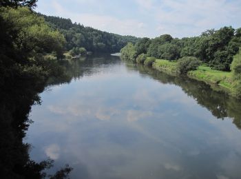 Trail On foot Eitorf - Försterweg (Erlebnisweg Sieg Nr. 10) - Photo