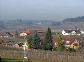 Excursión A pie Wasserburg (Bodensee) - Nordic-Walking Bayerischer Bodensee Bodolz R13 : Enzisweiler Runde - Photo