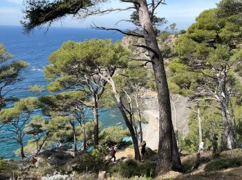 Percorso Marcia Six-Fours-les-Plages - Sentier du littoral  - Photo