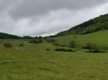 Tour Wandern Saint-Martin-du-Mont - Saint Martin du mont - Photo