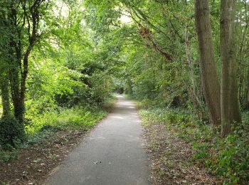 Tocht Elektrische fiets Ronse - Renaix- La Houppe par Ellezelles - Photo