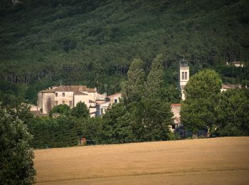 Trail Walking La Touche - La Touche : Les Citelles et Serre Pointu 12km - Photo