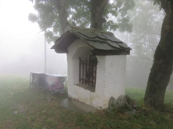 Trail On foot Ronco Canavese - IT-602 - Photo