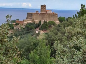 Trail Walking Collioure - boucle autour de collioure  - Photo