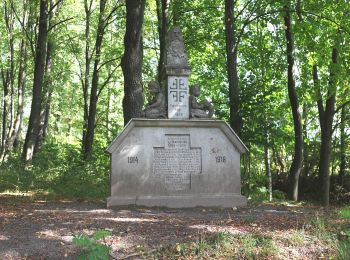 Randonnée A pied Schalkau - Rundwanderweg um Truckenthal 4 - Photo