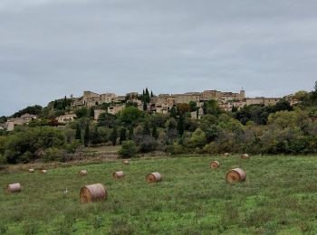 Randonnée Marche Château-Arnoux-Saint-Auban - forcalquier - Photo