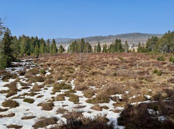 Tour Wandern Mouthe - Belvédère de la source du Doubs - Photo