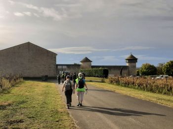 Randonnée Marche Saint-Romain-la-Virvée - Asques - Photo