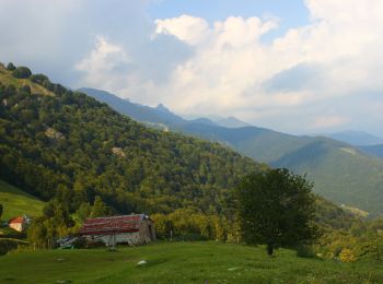 Tocht Te voet Introbio - Sentiero 25: Introbio - Passo del Gandazzo - Photo