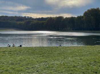 Randonnée Marche Versailles - Plan d’eau des suisses  - Photo