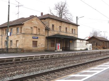 Tocht Te voet Ebensfeld - Ebensfelder Main-Runde oder Wiesener Rundweg - Photo