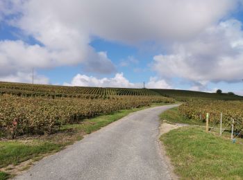 Excursión Senderismo Œuilly - RP51-04 Œilly à Dormans - Photo