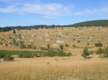 Randonnée A pied La Canourgue - Dimanche 12 mai - Photo