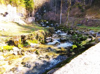 Excursión Coche La Tour-du-Meix - Jura Classic Tour - Tronçon 4 - Photo