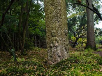 Tour Zu Fuß Den Haag - NS-wandeling Meijendel - Photo