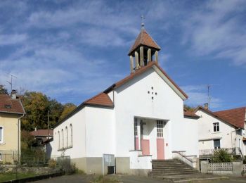 Trail On foot Montenois - Borne des quatres fins - Photo