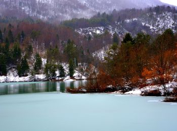 Trail On foot Socchieve - IT-802 - Photo