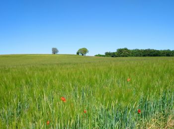 Trail Walking Avon-les-Roches - Avon-les-Roches - Au pays des lavoirs - circuit court - 10.9km 130m 2h35 - 2019 06 01 - Photo