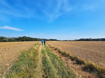 Randonnée Marche Gesves - Marche Adeps à Gesves 2024 - Photo