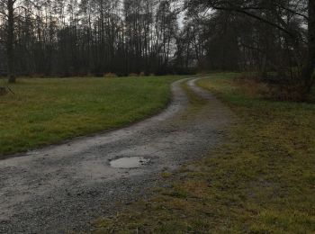 Randonnée Randonnée équestre Métairies-Saint-Quirin - rond pré rivière etangs - Photo