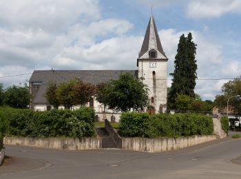 Randonnée A pied Strotzbüsch - HeimatSpur Mühlenweg Strotzbüsch - Photo