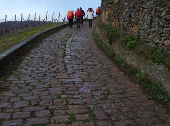 Randonnée Marche Westhalten - 2020-02-19 Schauenberg  - Photo