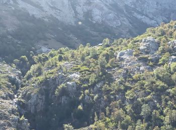 Tour Wandern Soccia - Lac de Goria - Photo