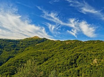 Tour Zu Fuß Romagnese - Monte Pietra di Corvo - Brallo di Pregola - Passo del Giovà - Photo
