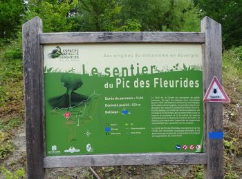 Randonnée Marche Sallèdes - La forêt de la comté  - Photo