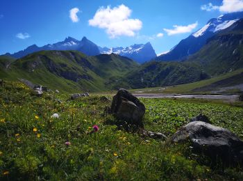 Excursión Senderismo Champagny-en-Vanoise - Sentier des glaciers-Vanoise 18 07 2020 - Photo