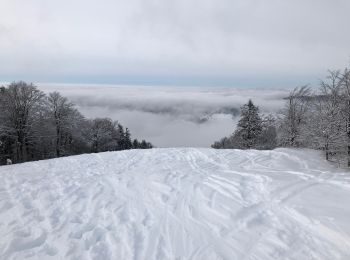 Randonnée Ski de randonnée Bussang - La bouloie - Photo