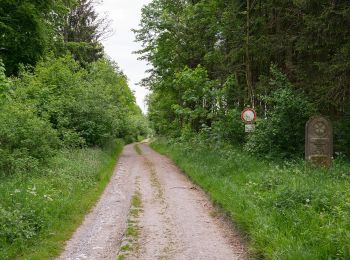 Randonnée A pied Paderborn - Rundwanderweg A6 [Hindahls Kreuz] - Photo