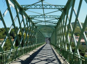 Trail On foot Mur-sur-Allier - De l'Allier au Puy de Mur - Photo