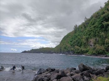 Randonnée Marche Sainte-Rose - La source Anse des Cascades - Photo