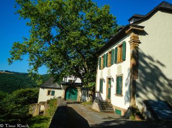 Trail On foot Oberhausen bei Kirn - Drei-Burgen-Weg - Photo