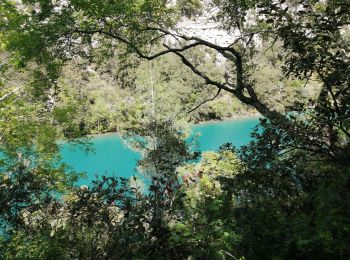 Excursión Senderismo Montmeyan - les basses gorges du Verdon  - Photo