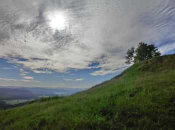 Excursión A pie Mistelgau - Mistelgau Zeubachtal-Rundweg - Photo