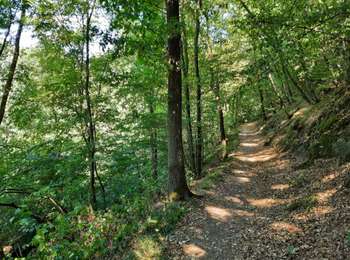 Percorso Marcia Modave - Au départ d'Outrelouxhe - Photo