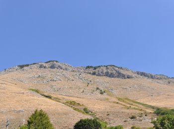 Trail On foot Gallo Matese - IT-120 - Photo